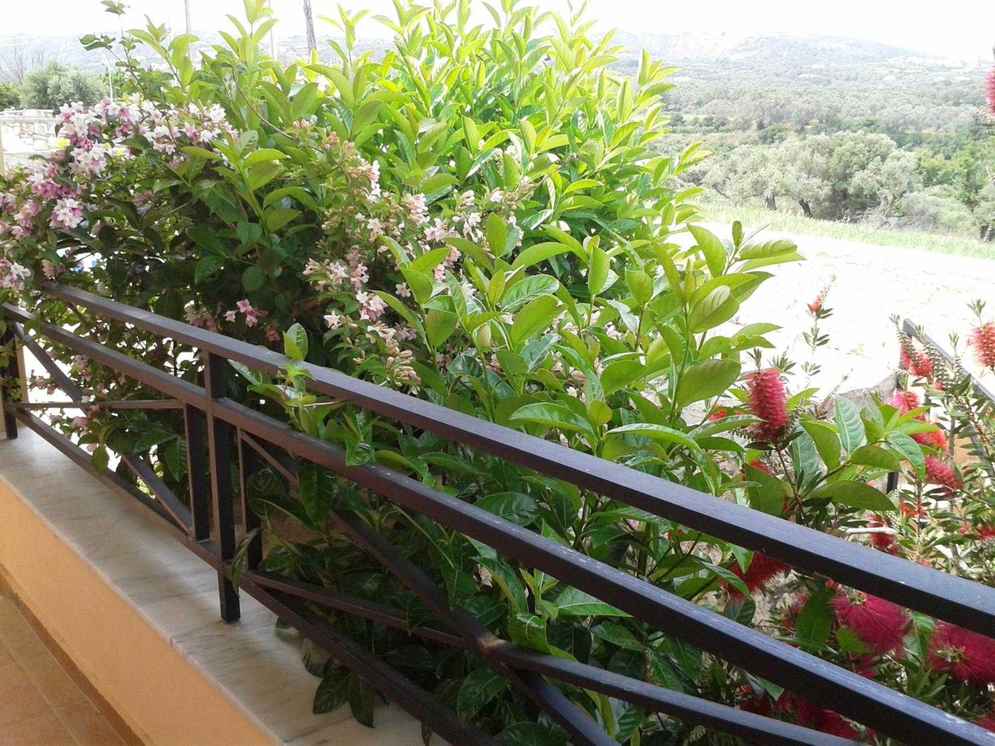 Helidonia Villas Pigi  Cameră foto